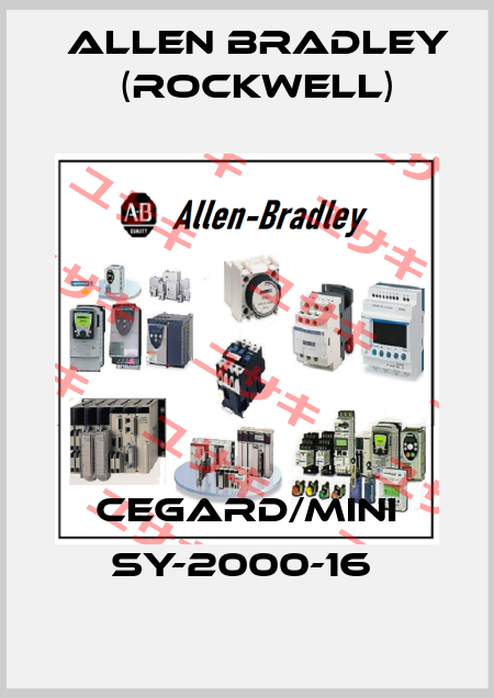 CEGARD/MINI SY-2000-16  Allen Bradley (Rockwell)