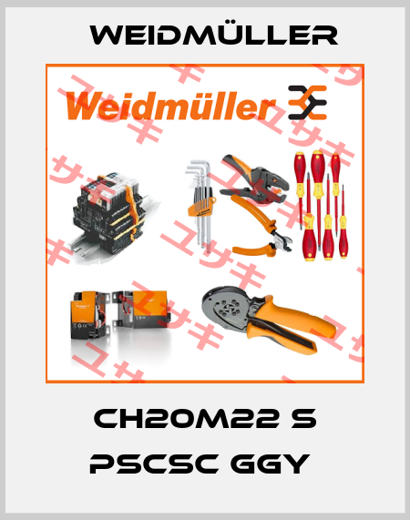 CH20M22 S PSCSC GGY  Weidmüller