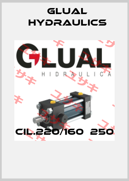 CIL.220/160Х250  Glual Hydraulics