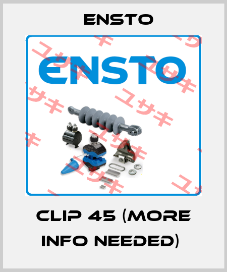 clip 45 (More info needed)  Ensto