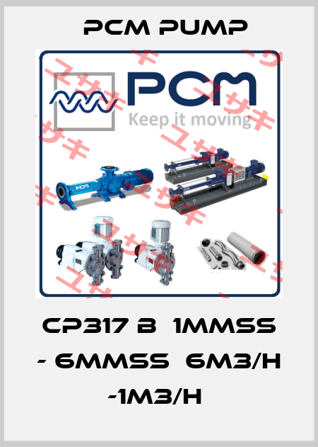 CP317 B  1MMSS - 6MMSS  6M3/H -1M3/H  PCM Pump