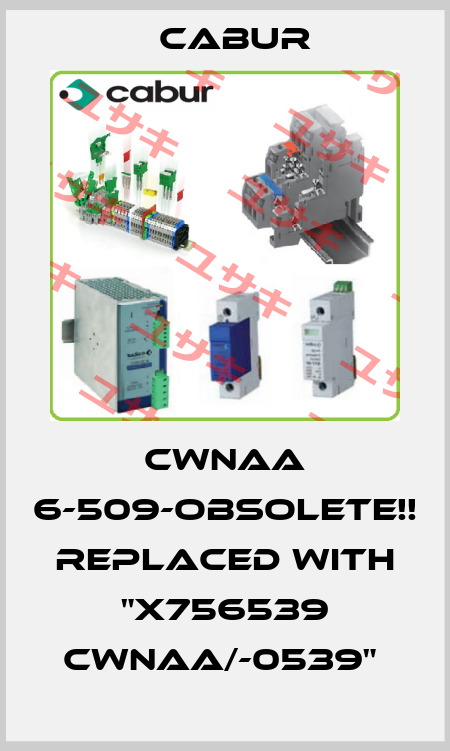 CWNAA 6-509-OBSOLETE!! Replaced with "X756539 CWNAA/-0539"  Cabur