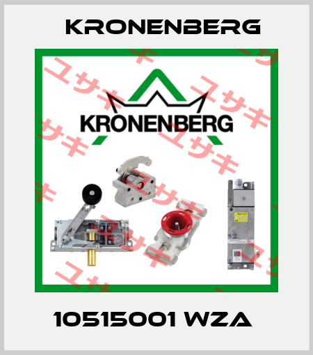 10515001 WZA  Kronenberg