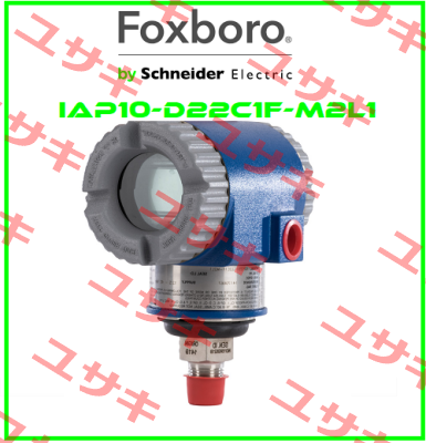 IAP10-D22C1F-M2L1 Foxboro