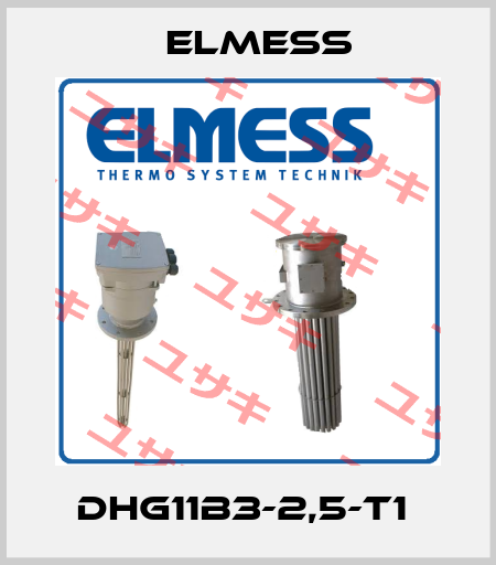 DHG11B3-2,5-T1  Elmess