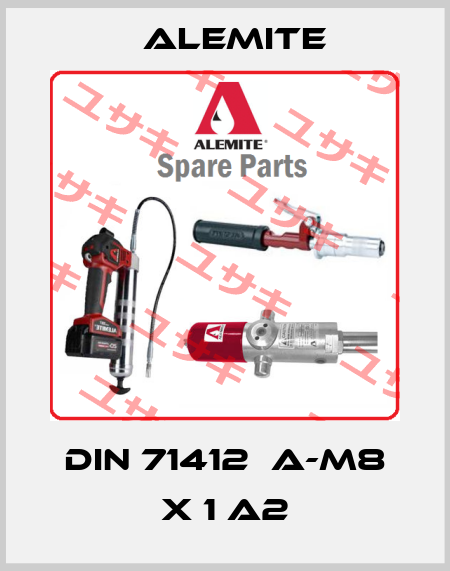 DIN 71412  A-M8 X 1 A2 Alemite