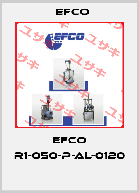 EFCO R1-050-P-AL-0120  Efco