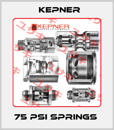 75 psi springs  KEPNER