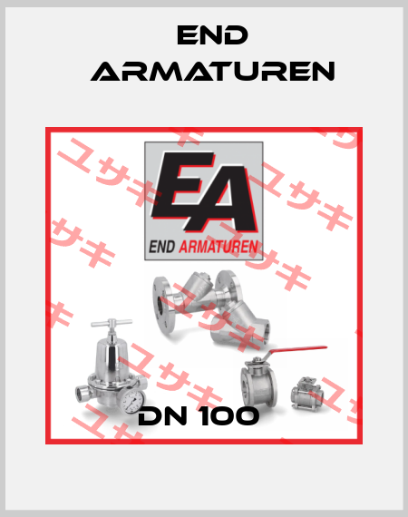 DN 100  End Armaturen
