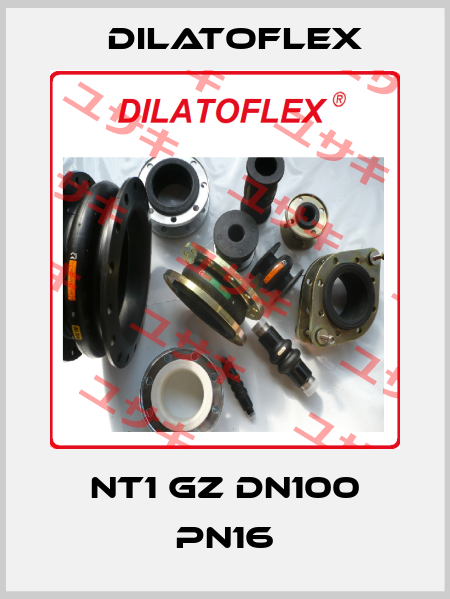 NT1 GZ DN100 PN16  DILATOFLEX