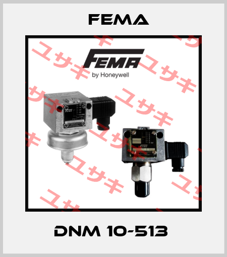 DNM 10-513  FEMA