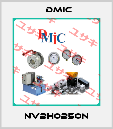 NV2H0250N DMIC