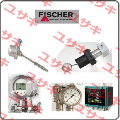 DS1102VA21B10W00  Fischer Mess Regeltechnik