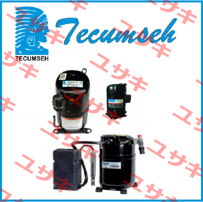 810M006B46  Tecumseh