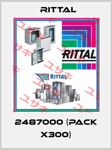 2487000 (pack x300) Rittal