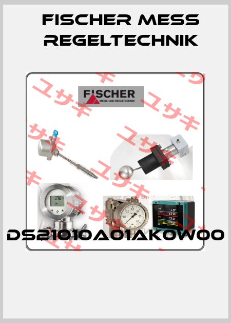 DS21010A01AK0W00  Fischer Mess Regeltechnik