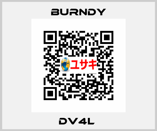 DV4L  Burndy