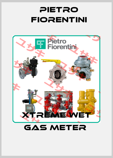 Xtreme Wet Gas Meter  Pietro Fiorentini