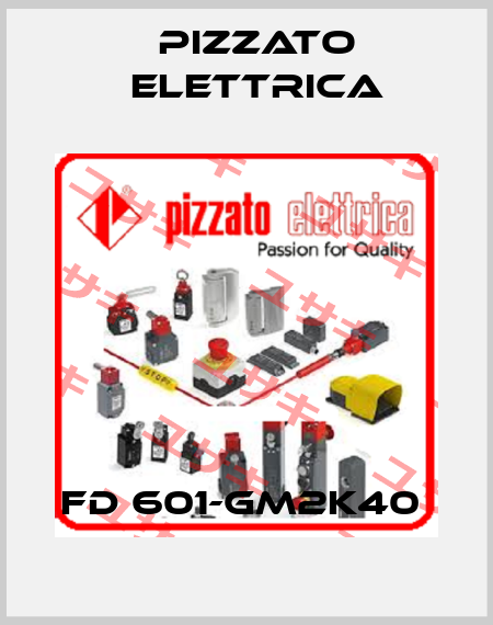 FD 601-GM2K40  Pizzato Elettrica