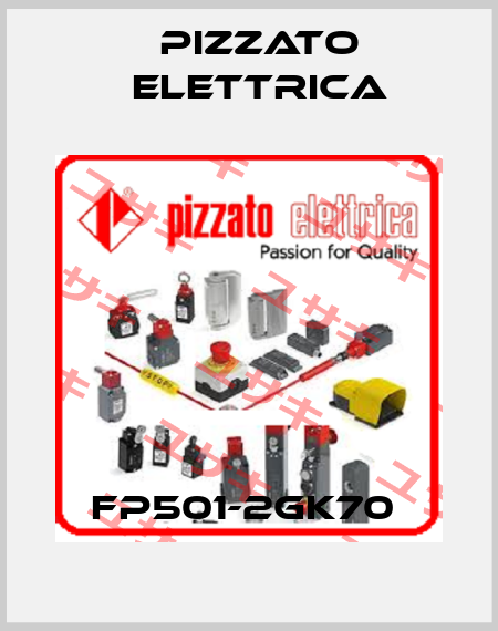 FP501-2GK70  Pizzato Elettrica