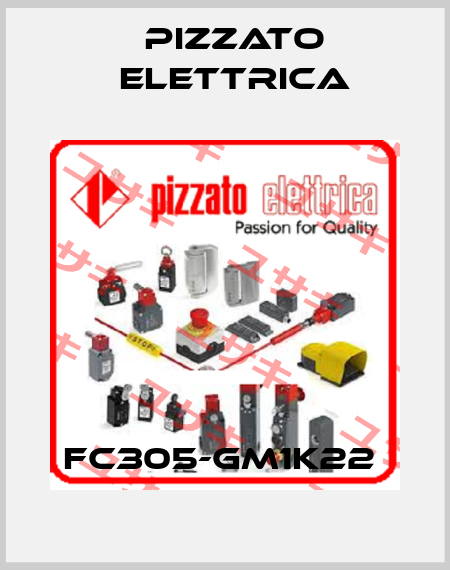 FC305-GM1K22  Pizzato Elettrica