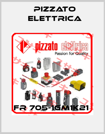 FR 705-1GM1K21  Pizzato Elettrica