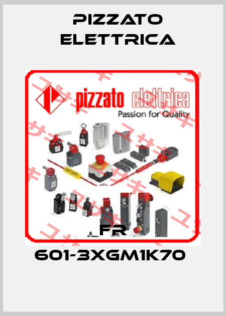 FR 601-3XGM1K70  Pizzato Elettrica