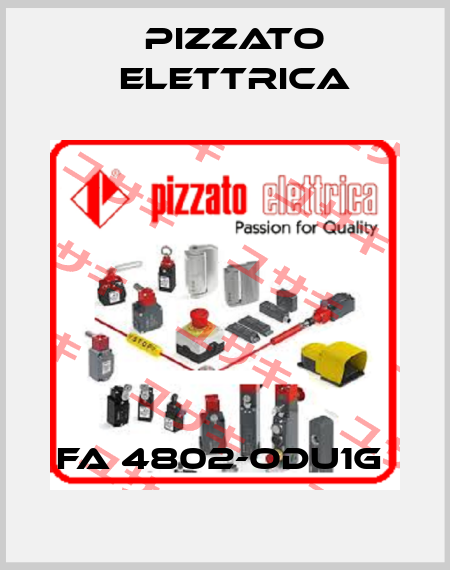 FA 4802-ODU1G  Pizzato Elettrica