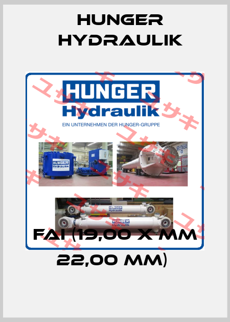 FAI (19,00 x mm 22,00 mm)  HUNGER Hydraulik