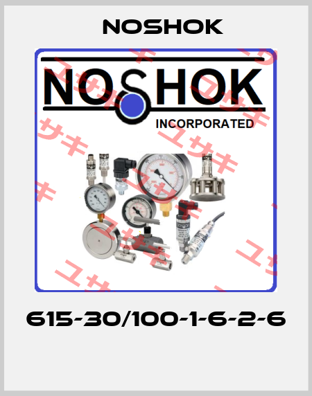 615-30/100-1-6-2-6  Noshok