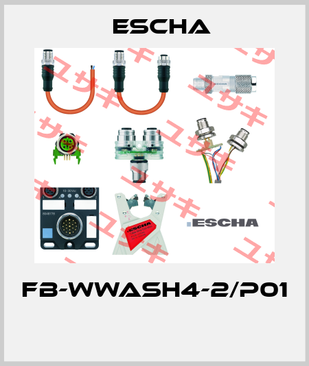 FB-WWASH4-2/P01  Escha