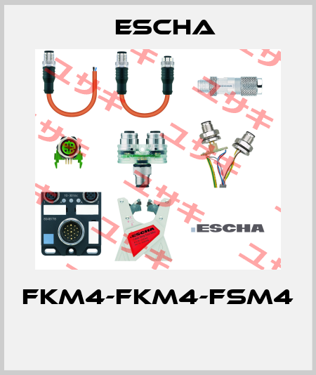 FKM4-FKM4-FSM4  Escha