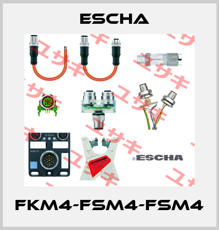 FKM4-FSM4-FSM4 Escha