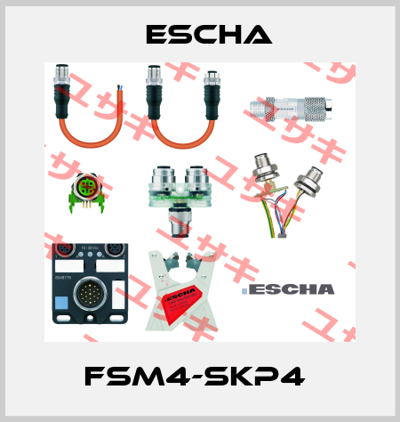 FSM4-SKP4  Escha