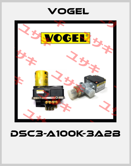 DSC3-A100K-3A2B  Vogel