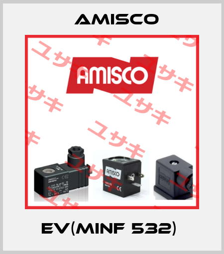 EV(MINF 532)  Amisco