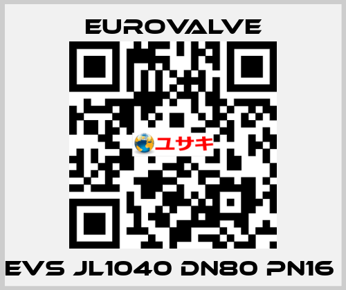 EVS JL1040 DN80 PN16  Eurovalve
