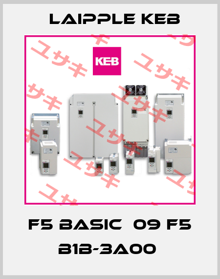 F5 BASIC  09 F5 B1B-3A00  LAIPPLE KEB
