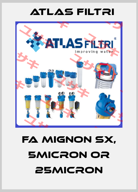 FA MIGNON SX, 5MICRON OR 25MICRON Atlas Filtri