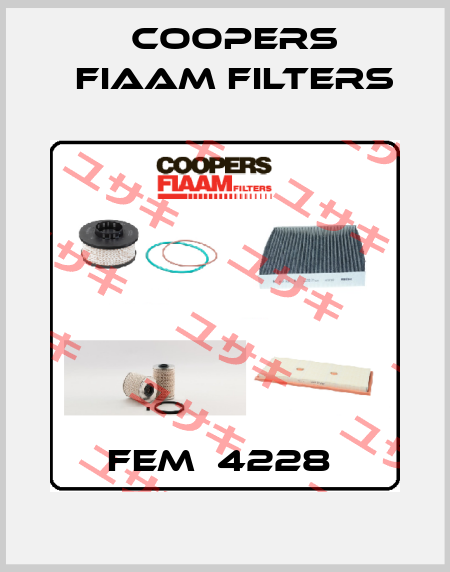 FEM  4228  Coopers Fiaam Filters