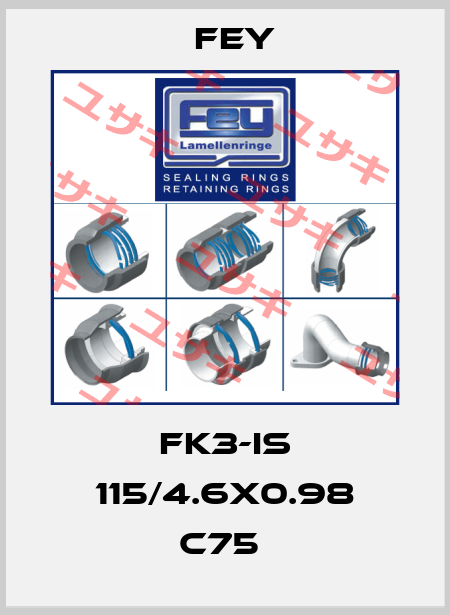 FK3-IS 115/4.6X0.98 C75  Fey