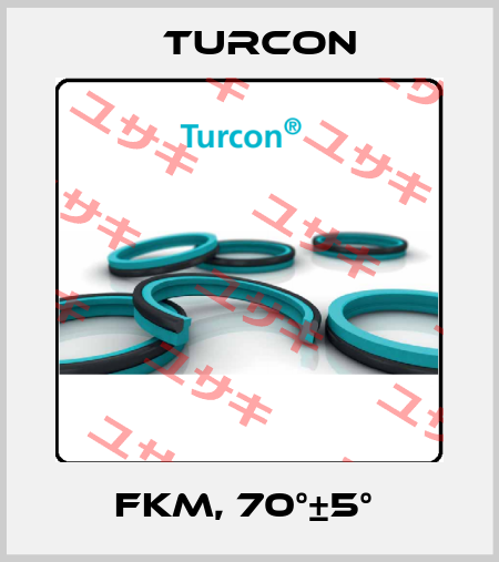 FKM, 70°±5°  Turcon