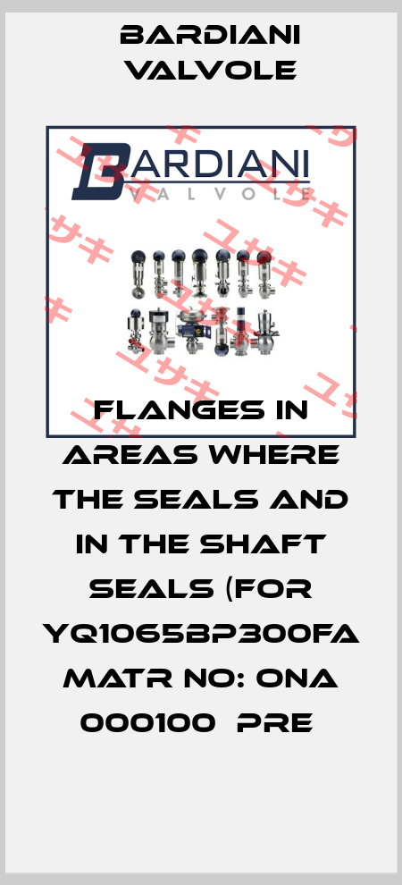 FLANGES IN AREAS WHERE THE SEALS AND IN THE SHAFT SEALS (FOR YQ1065BP300FA  MATR NO: ONA 000100  PRE  Bardiani Valvole