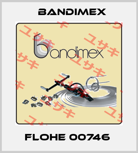 FLOHE 00746  Bandimex