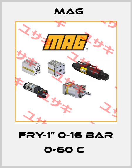 FRY-1" 0-16 BAR 0-60 C  Mag