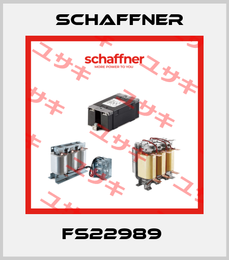 FS22989  Schaffner