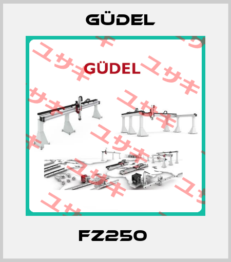 FZ250  Güdel