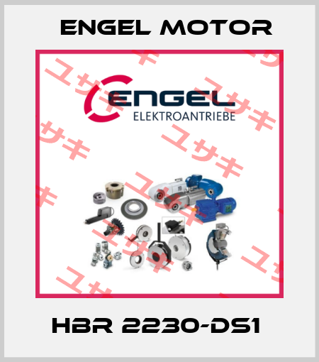 HBR 2230-DS1  Engel Motor