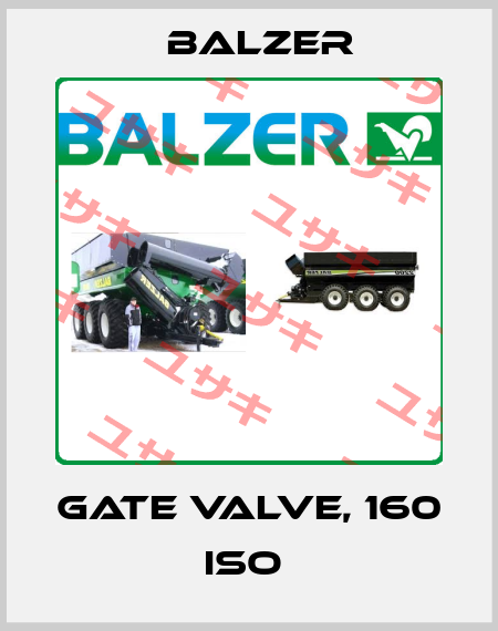 GATE VALVE, 160 ISO  Balzer
