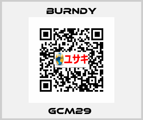GCM29  Burndy